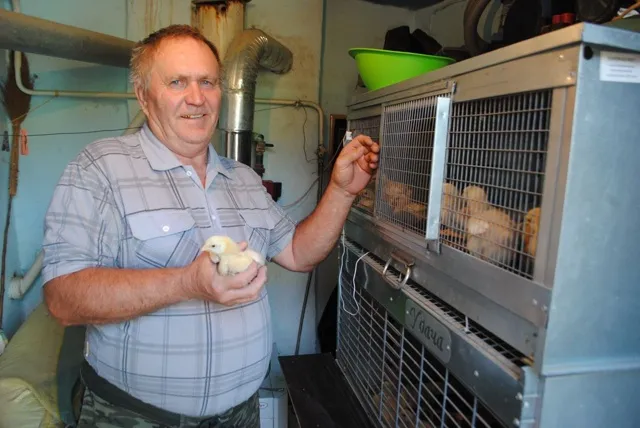 Господдержка помогла семье из&nbsp;Ставрополья расширить личное хозяйство