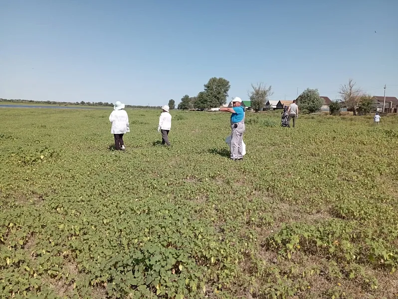 В&nbsp;селе Ясын-Сокан Астраханской области убрали набережную зону от&nbsp;мусора