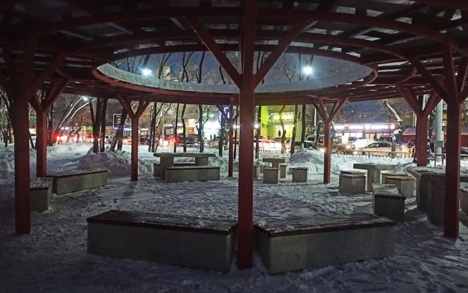 Правительство Амурской области