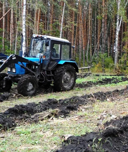 В&nbsp;Татарстане стартовал осенний лесокультурный сезон