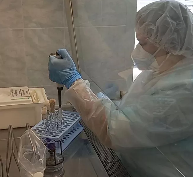 Госветлаборатория Саратовской области увеличила спектр исследований