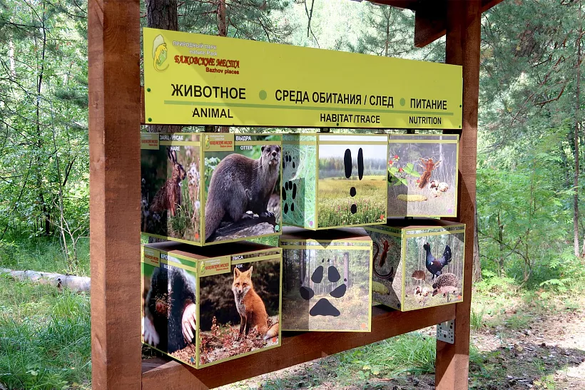 На&nbsp;Урале запустят эколого-просветительский квест
