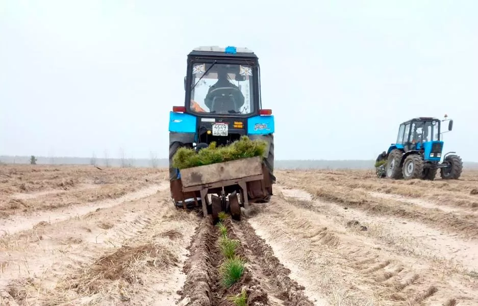 Министерство лесного хозяйства Воронежской области