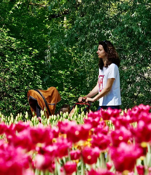 В&nbsp;20&nbsp;муниципалитетах Томской области благоустроят общественные территории