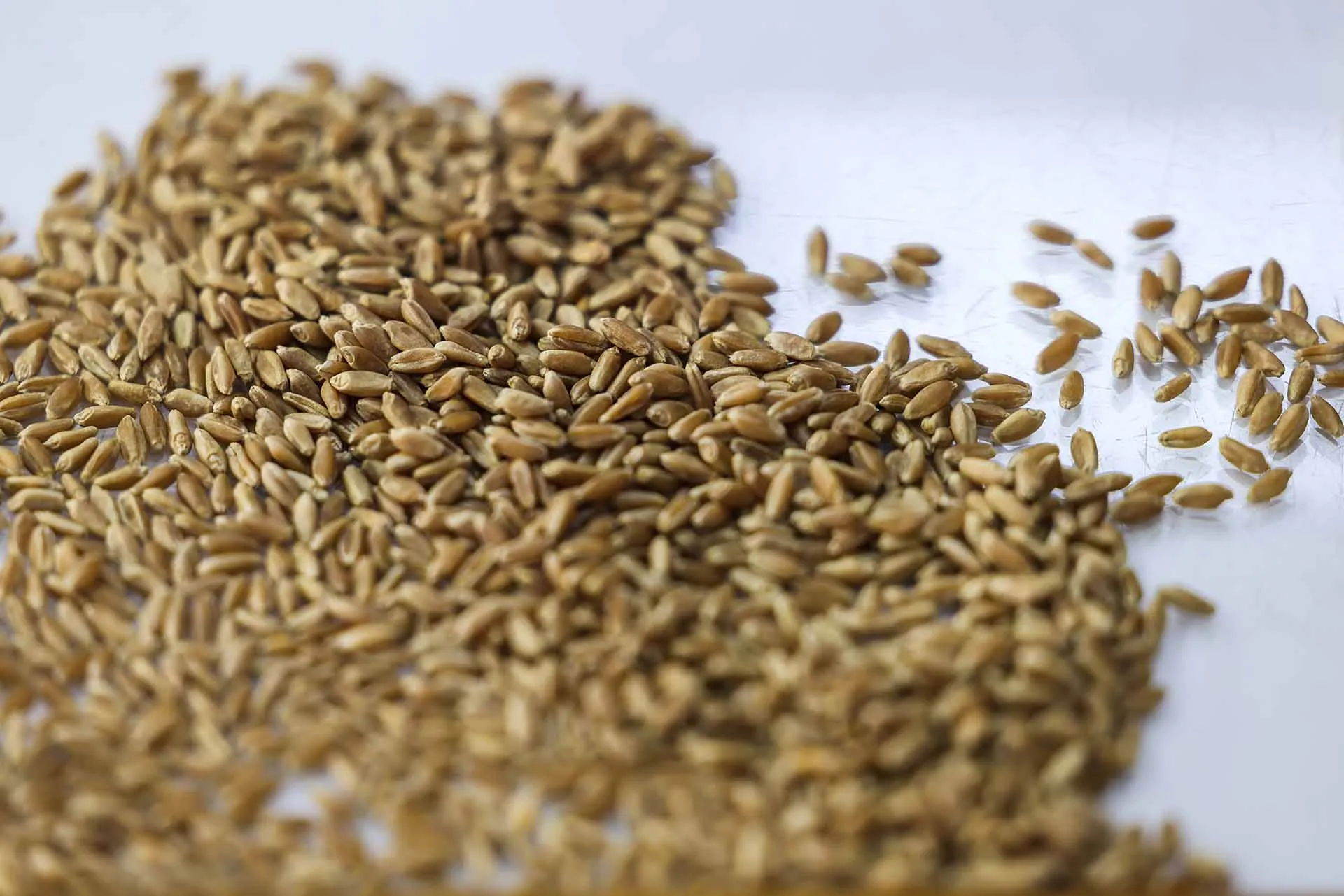 Алексей Коновалов/ТАСС