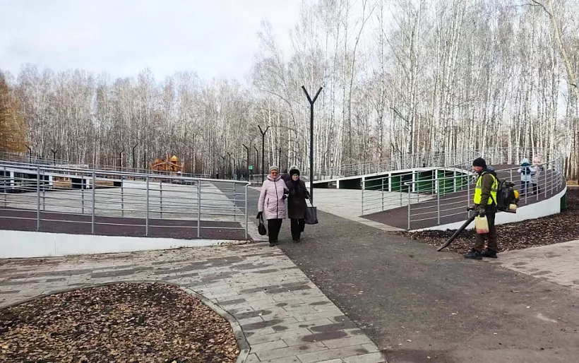 В&nbsp;городе Ишиме Тюменской области на&nbsp;месте стадиона появилась Березовая роща