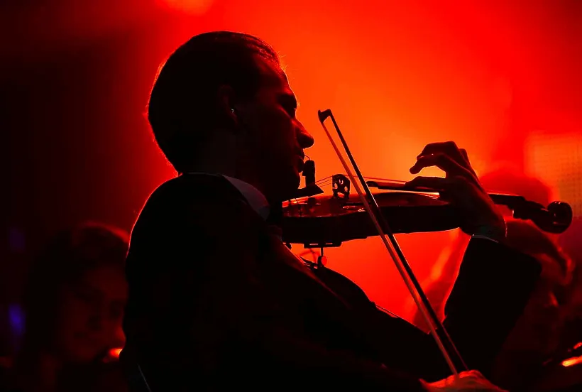 В&nbsp;Волгограде в&nbsp;музее выступят музыканты из&nbsp;Китая