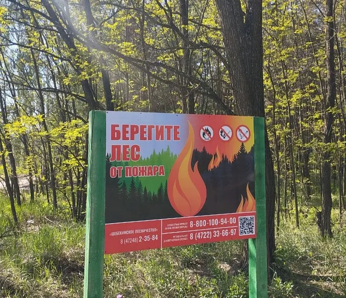 В&nbsp;Шебекинском лесничестве на&nbsp;Белгородчине установили 11&nbsp;новых шлагбаумов