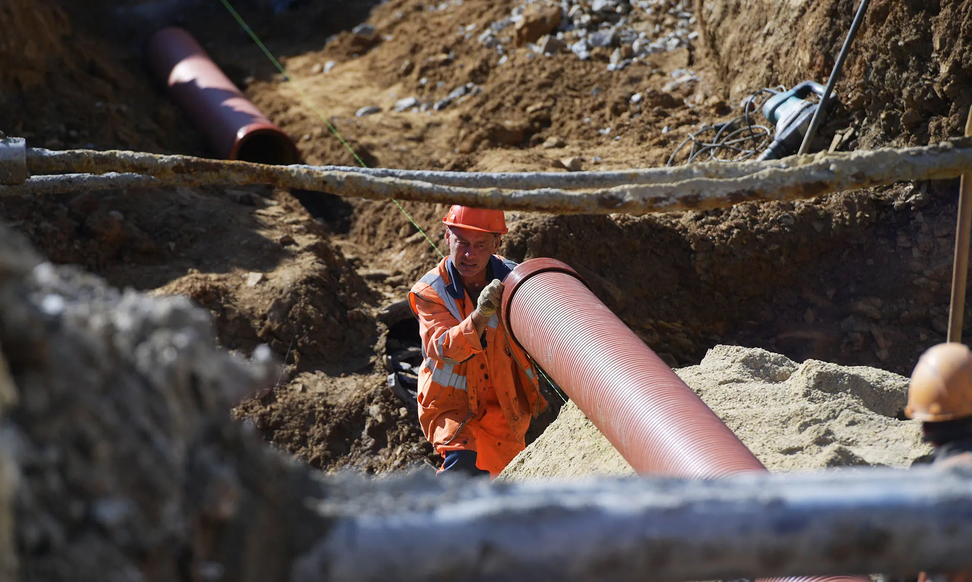 Павел Лисицын/РИА Новости 