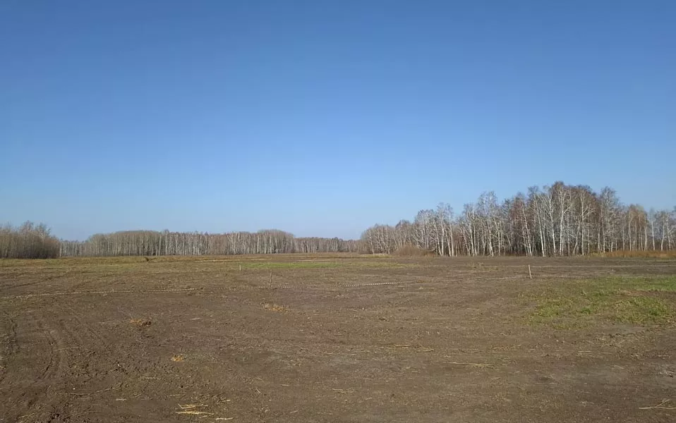 Администрация Викуловского муниципального района