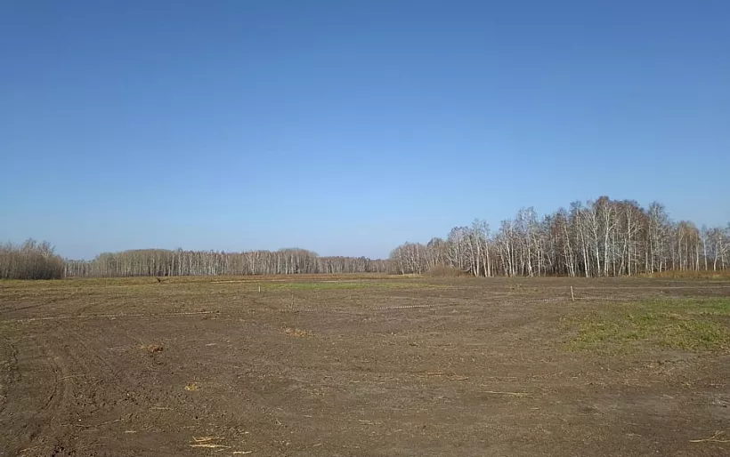 В&nbsp;тюменском селе рекультивировали загрязненный земельный участок