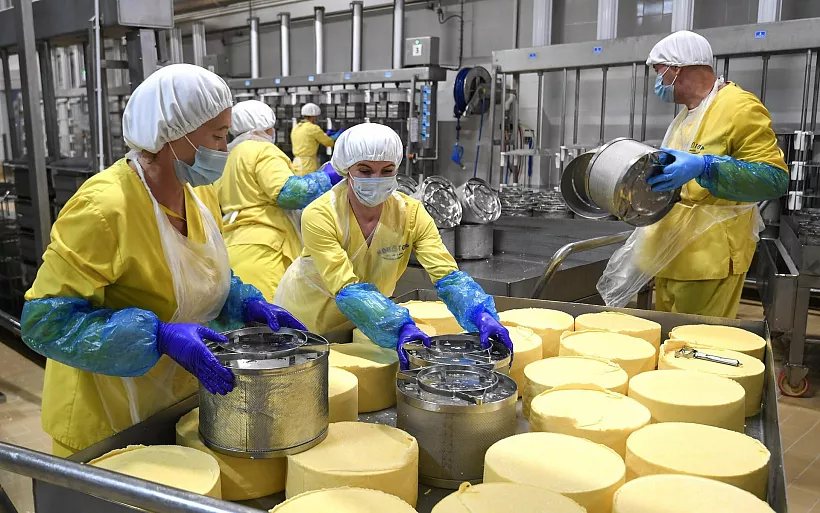 Завод &laquo;Невские сыры&raquo; в&nbsp;Петербурге увеличил вдвое выработку продукции