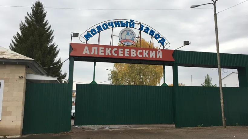 Молочный завод в&nbsp;Татарстане увеличил выработку на&nbsp;10%