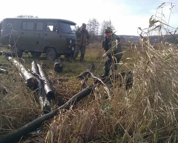 Русло реки расчистили в&nbsp;селе Задельном Белгородской области
