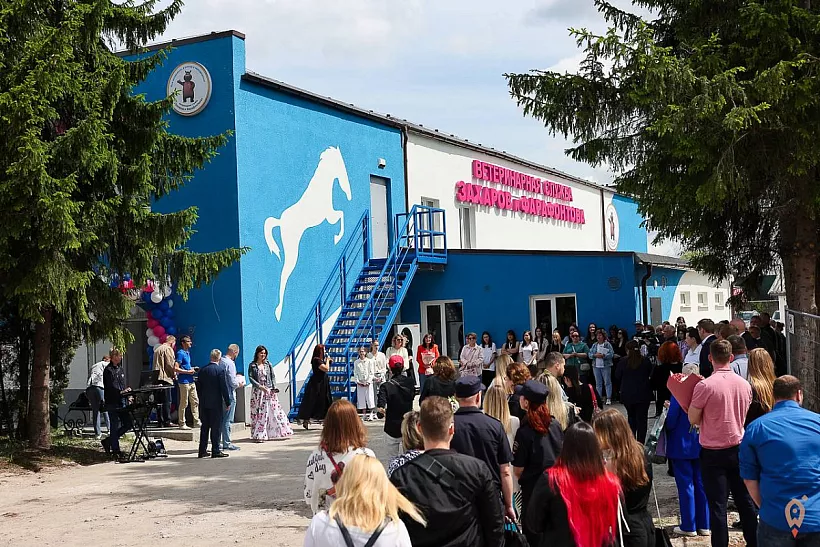 В&nbsp;Калининградской области открыли ветеринарный центр для&nbsp;крупных животных