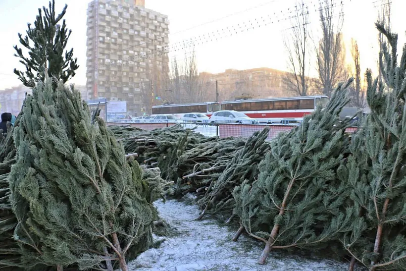 Накануне Нового года в&nbsp;Самаре открылись 140&nbsp;елочных базаров