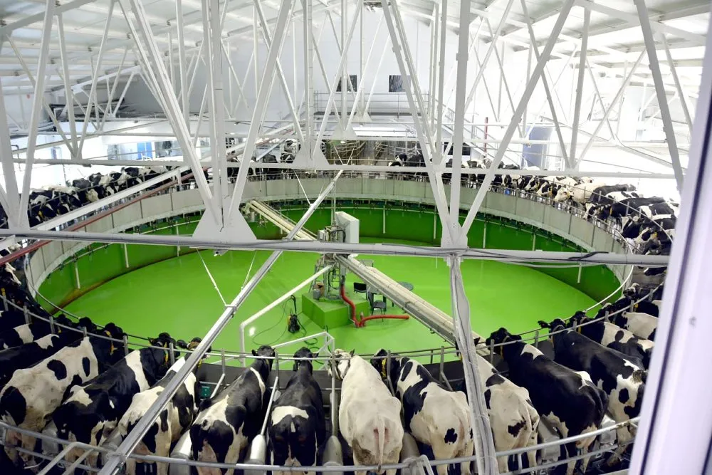 Юрий Симонов/Аппарат Губернатора и Правительства Челябинской области