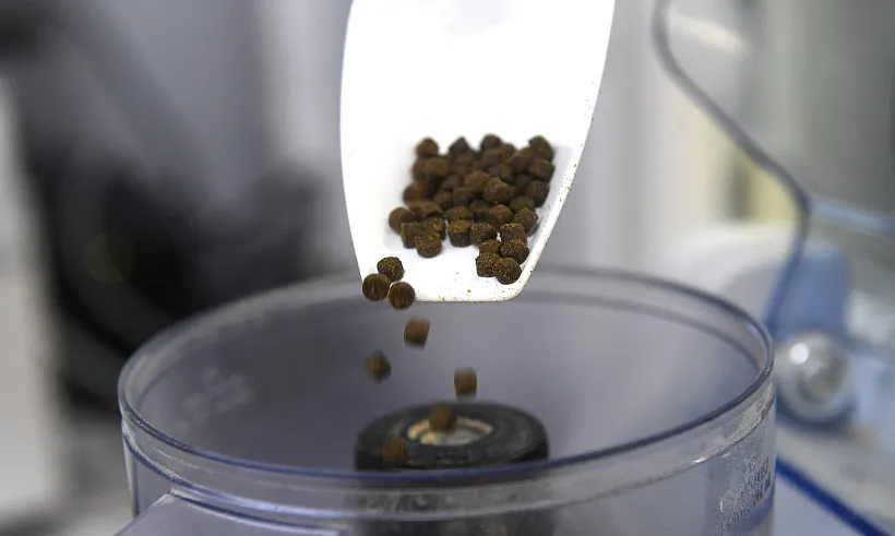 Экспорт продукции АПК Калужской области вырос на&nbsp;25%