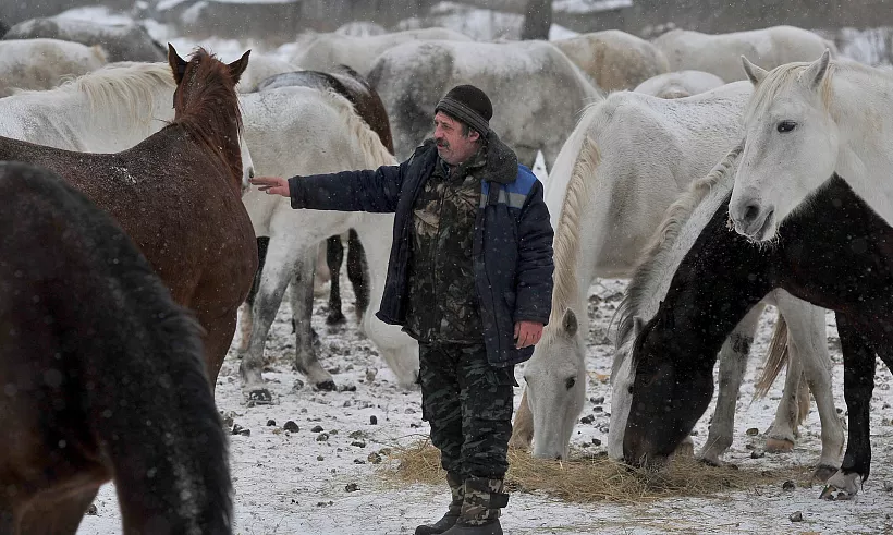 К&nbsp;патрулированию нацпарка в&nbsp;Забайкалье привлекли лошадей