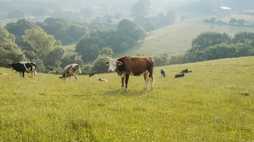 В&nbsp;Нижегородской области стартовал набор на&nbsp;шестой поток &laquo;Школы фермера&raquo;