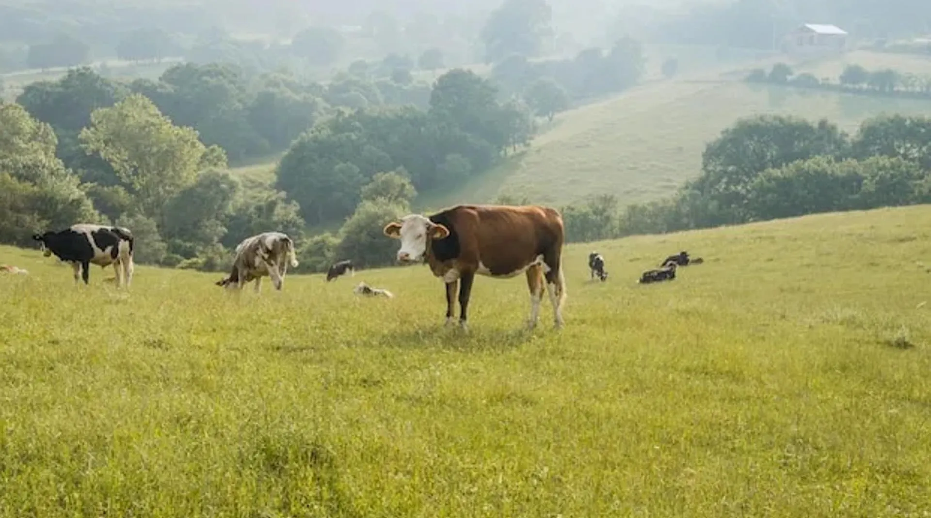 Пресс-служба Правительства Нижегородской области