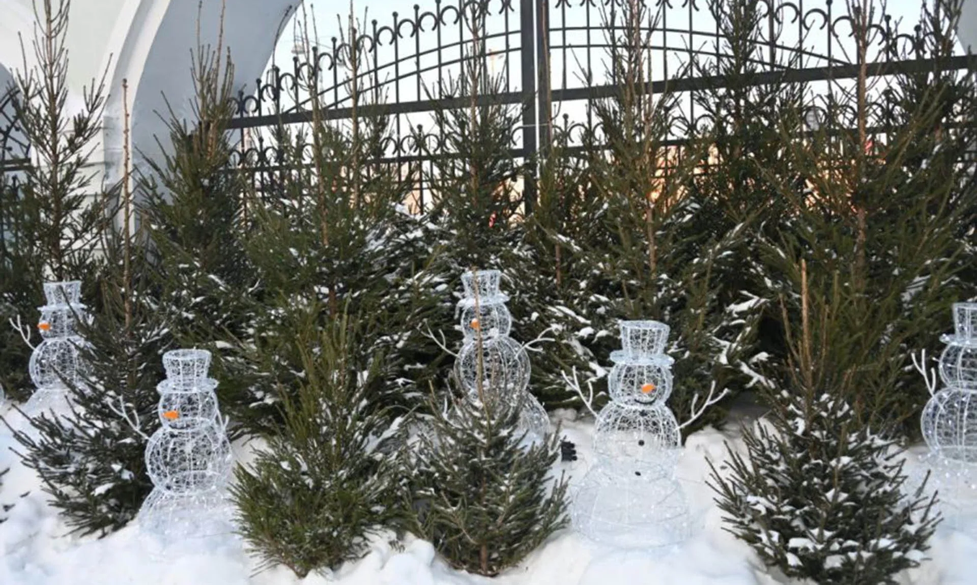 Департамент информационной политики Свердловской области