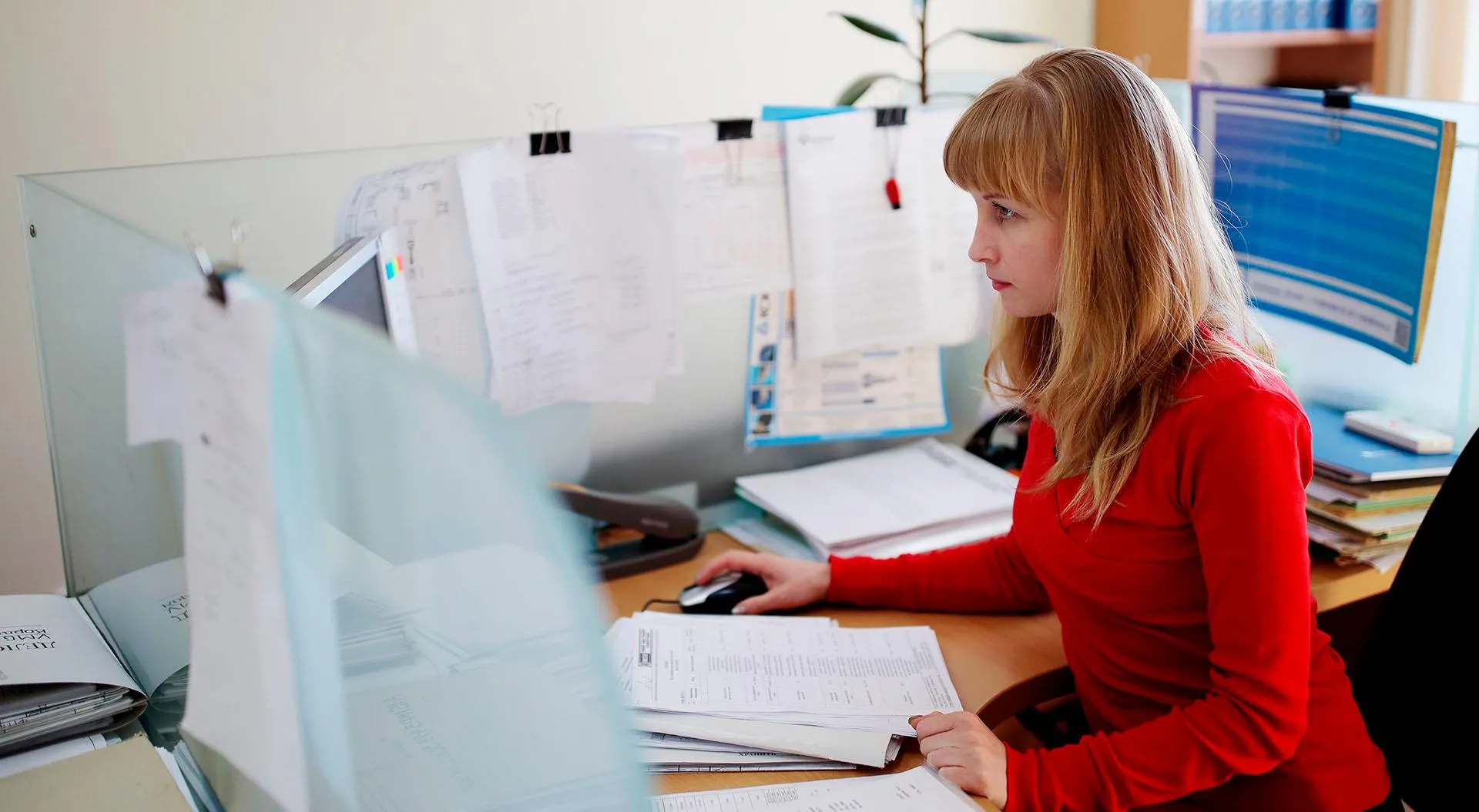 Виталий Тимкив/РИА Новости