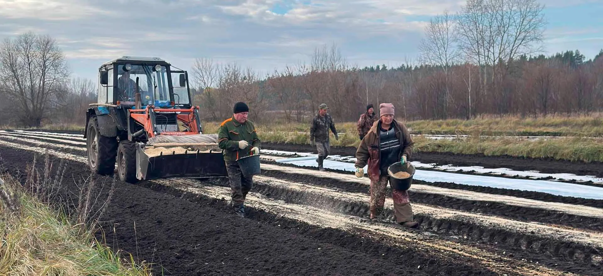 Управление лесного хозяйства Липецкой области