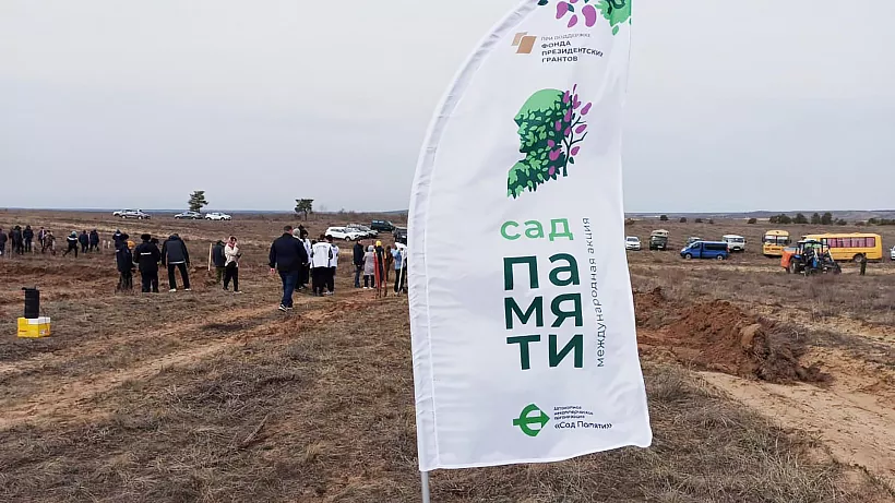 В&nbsp;Волгоградской области высадили первые деревья в&nbsp;честь акции &laquo;Сад памяти&raquo;