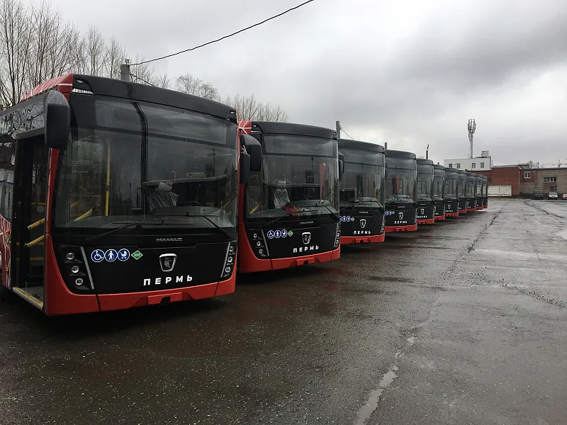 В&nbsp;Пермь поступила новая партия автобусов
