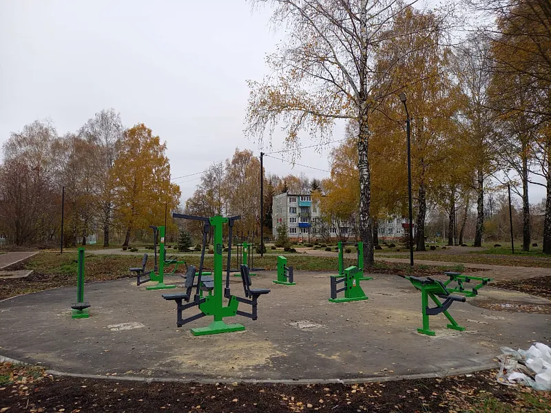 В&nbsp;Куркине Тульской области благоустроили Березовый сквер
