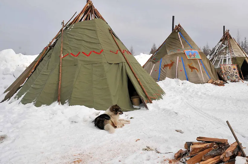 В&nbsp;Красноярском крае запустят обучающую программу &laquo;Работник кочевого жилья&raquo;