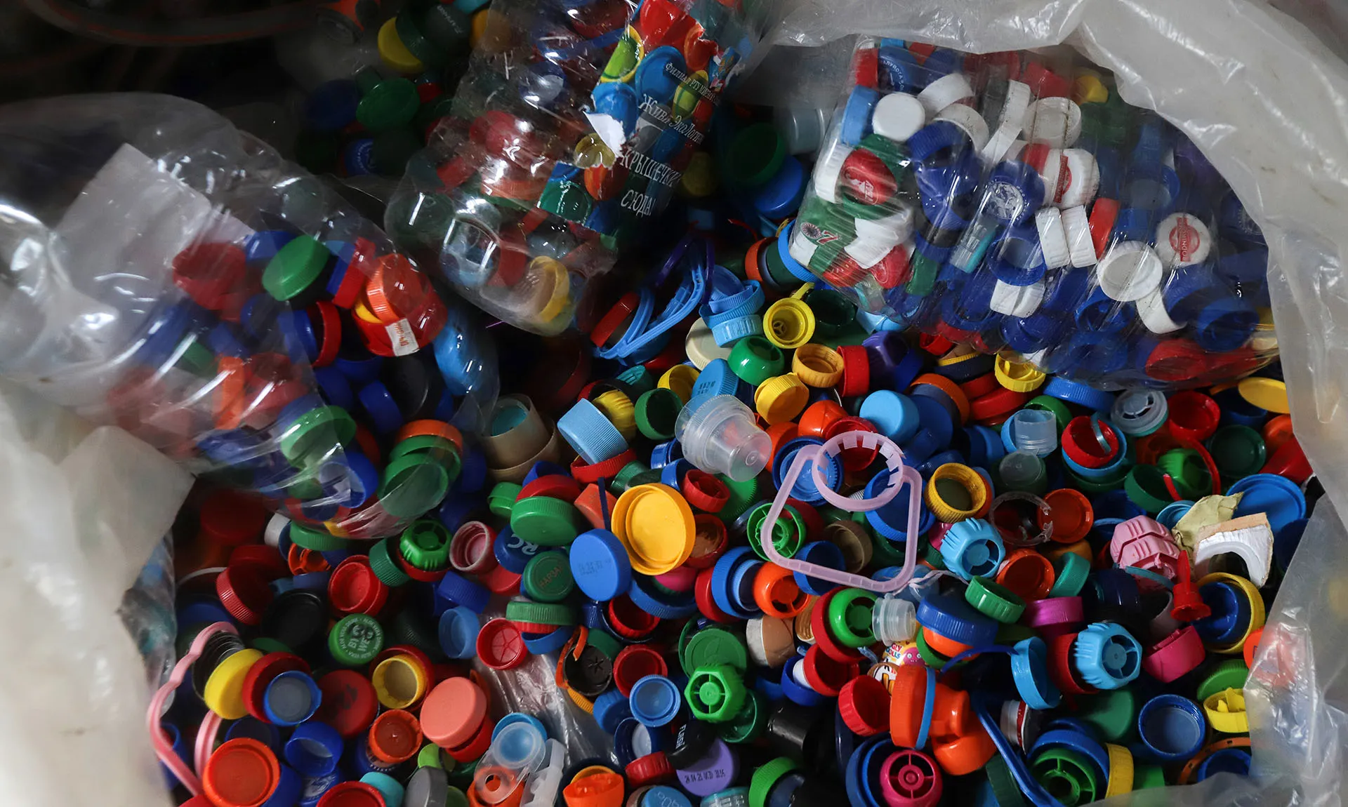 Денис Абрамов/РИА Новости 