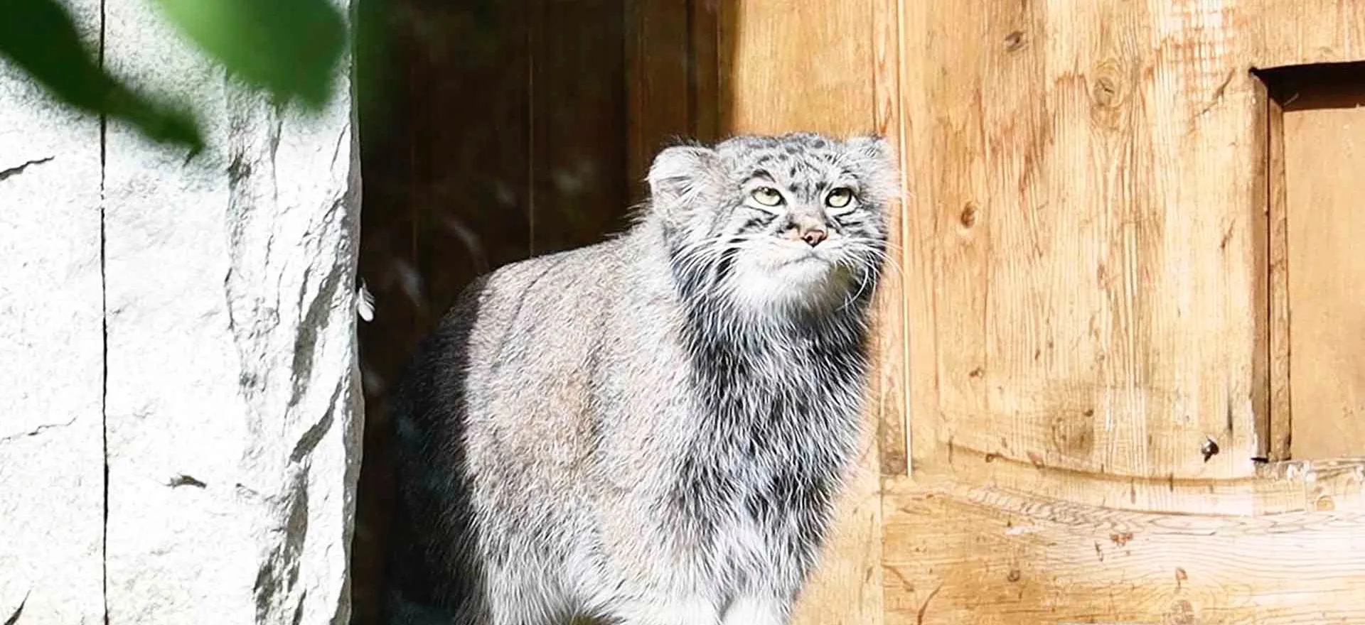 Департамент экономической политики и развития г. Москвы