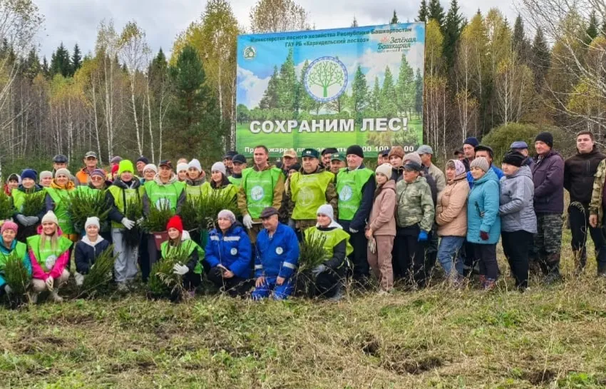 Министерство лесного хозяйства Республики Башкортостан