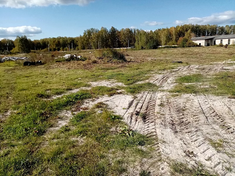 В&nbsp;Тюменской области предпринимательнице передали в&nbsp;аренду земельный участок