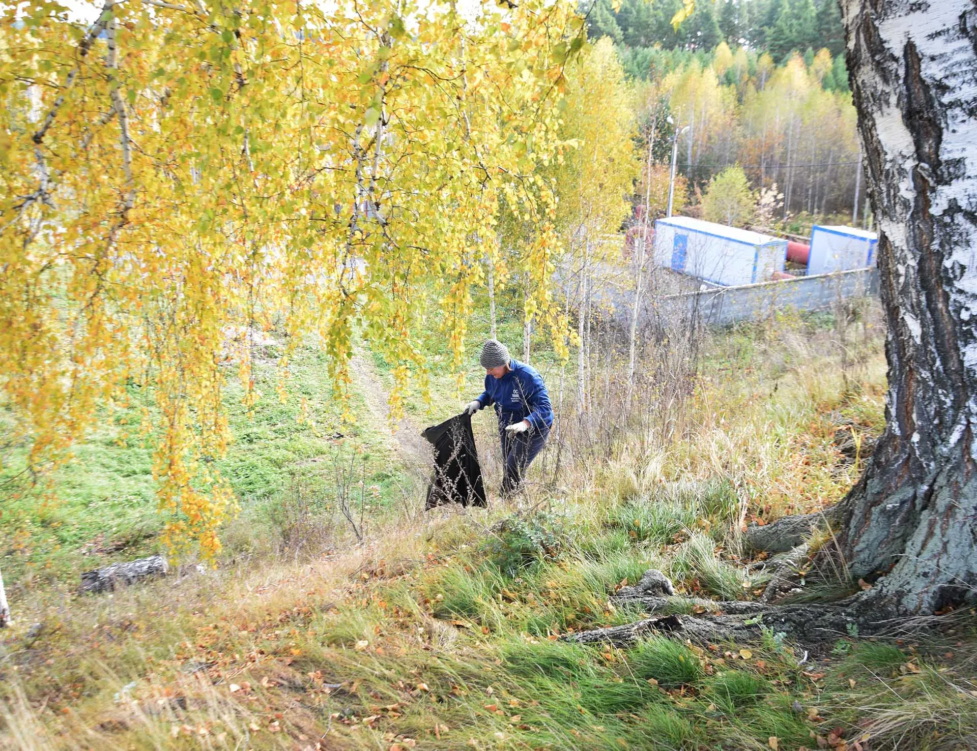 Администрация Сысертского городского округа