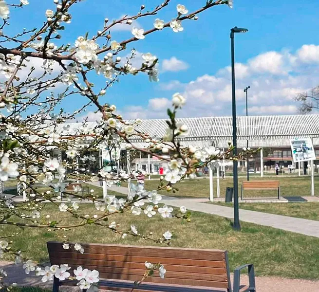 Кабардино-Балкария вошла в&nbsp;топ-10&nbsp;регионов по&nbsp;спросу на&nbsp;путешествия весной