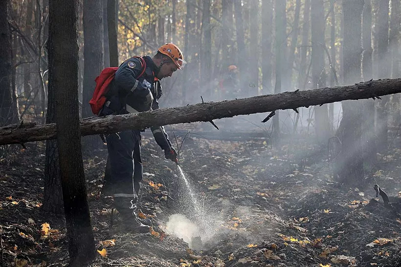 В&nbsp;Карелии арендаторов лесных участков обучили тушению пожаров