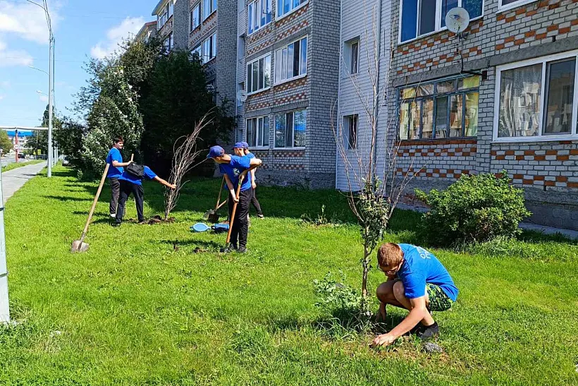 В&nbsp;поселке Боровском Тюменской области высадили 38&nbsp;тополей