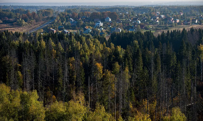 В&nbsp;Ульяновской области утвердили более 90&nbsp;маршрутов патрулирования лесов