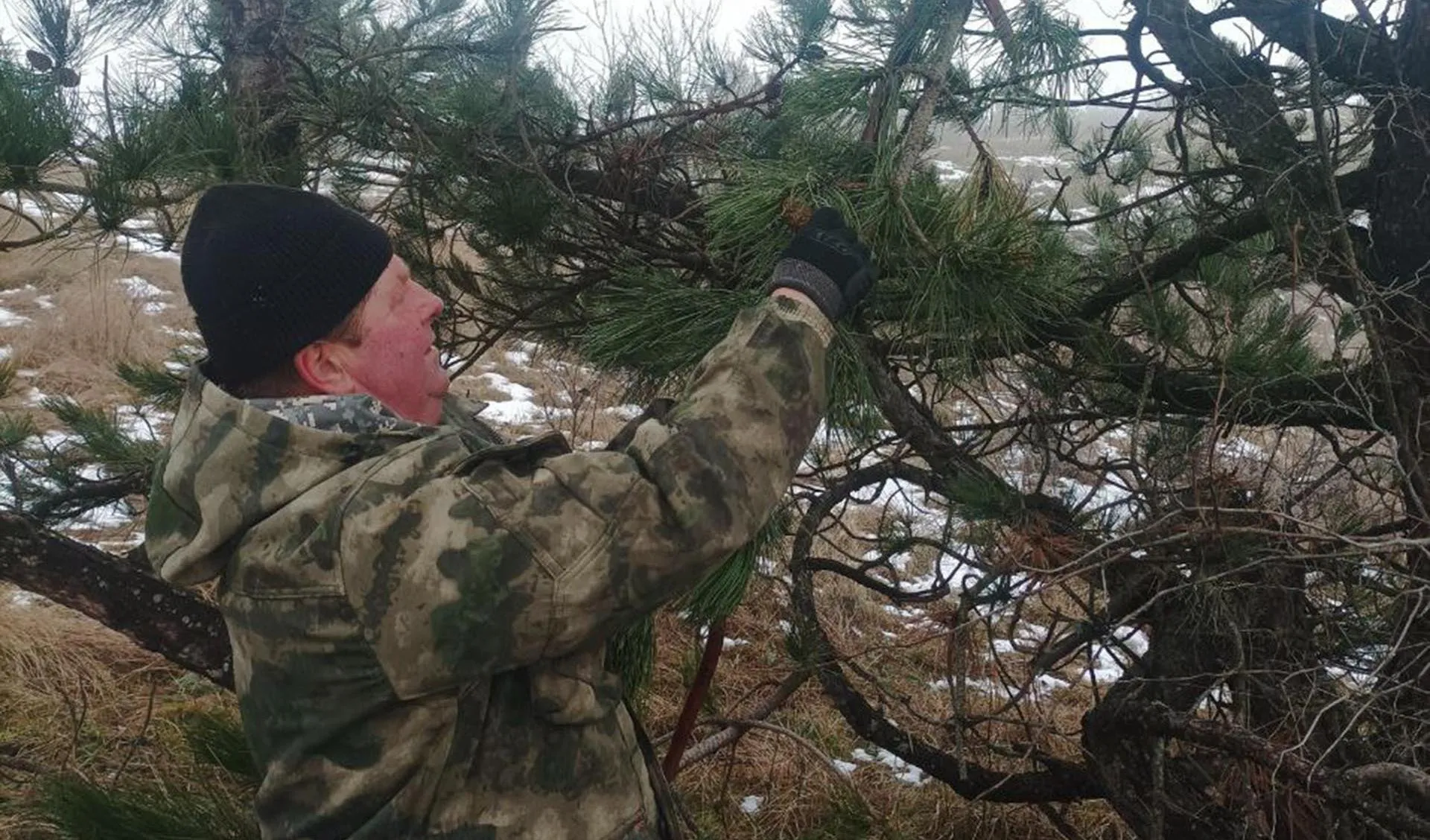 Министерство экологии и природных ресурсов Республики Крым