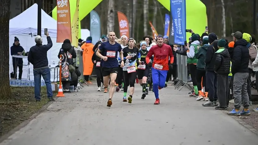 Забег &laquo;Соколиная гора&raquo; в&nbsp;подмосковной Истре собрал более 250&nbsp;участников