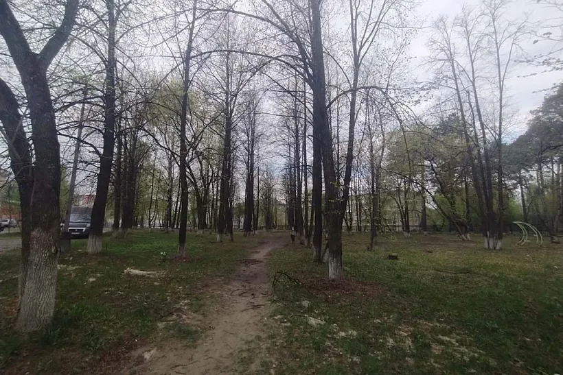 В&nbsp;городе Краснокамске под&nbsp;Пермью появится сквер Молодоженов
