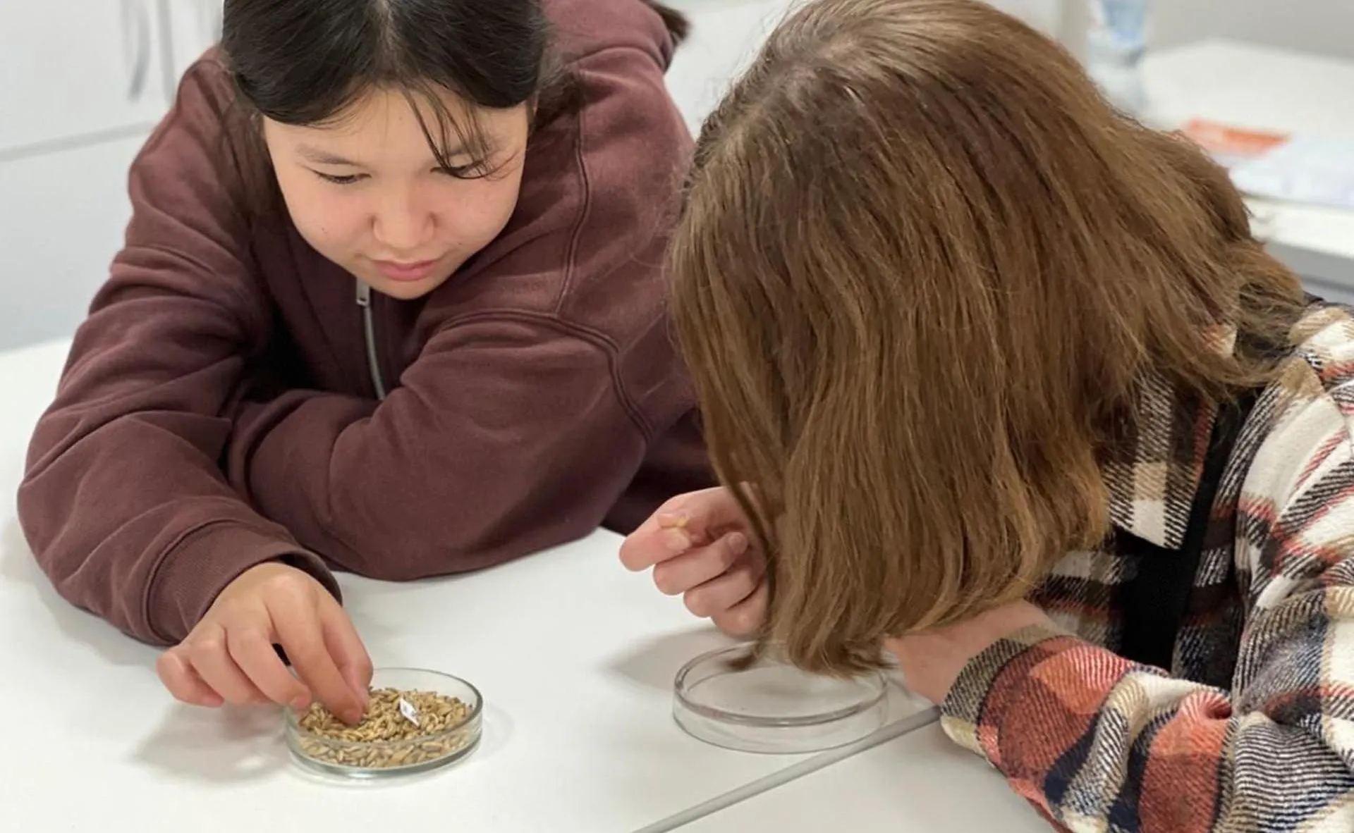 Министерство сельского хозяйства Иркутской области