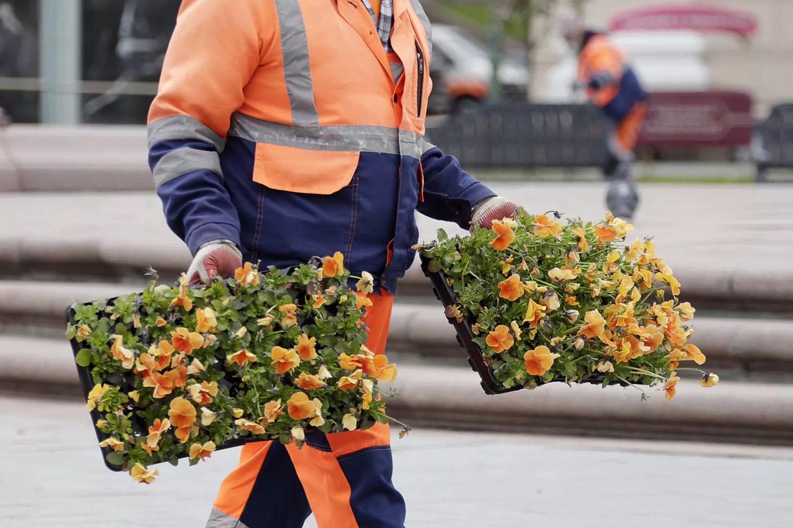 Михаил Метцель/ТАСС