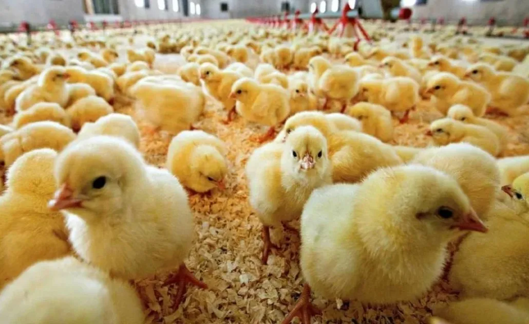 Пресс-служба Правительства Нижегородской области