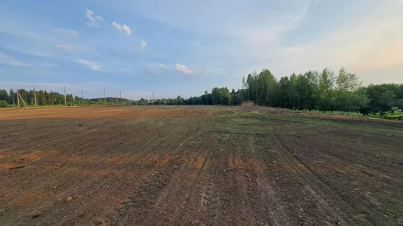 В&nbsp;Омутнинске Кировской области завершили рекультивацию крупной свалки