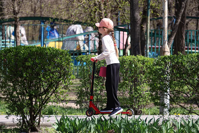 В&nbsp;Барнауле за&nbsp;объекты благоустройства проголосовали более 37&nbsp;тыс. человек