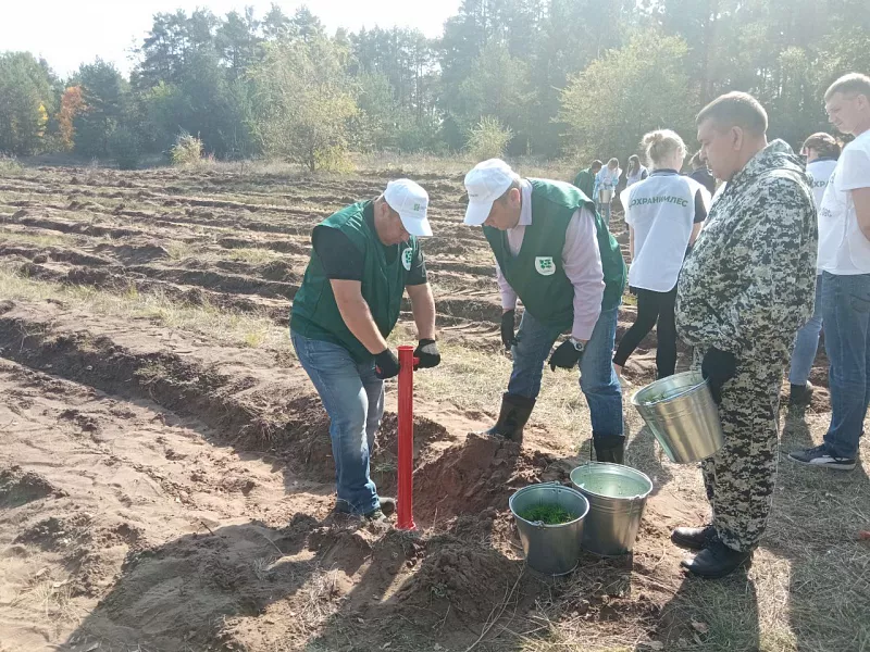 В&nbsp;Марксовском районе Саратовской области прошла акция &laquo;Сохраним лес&raquo;